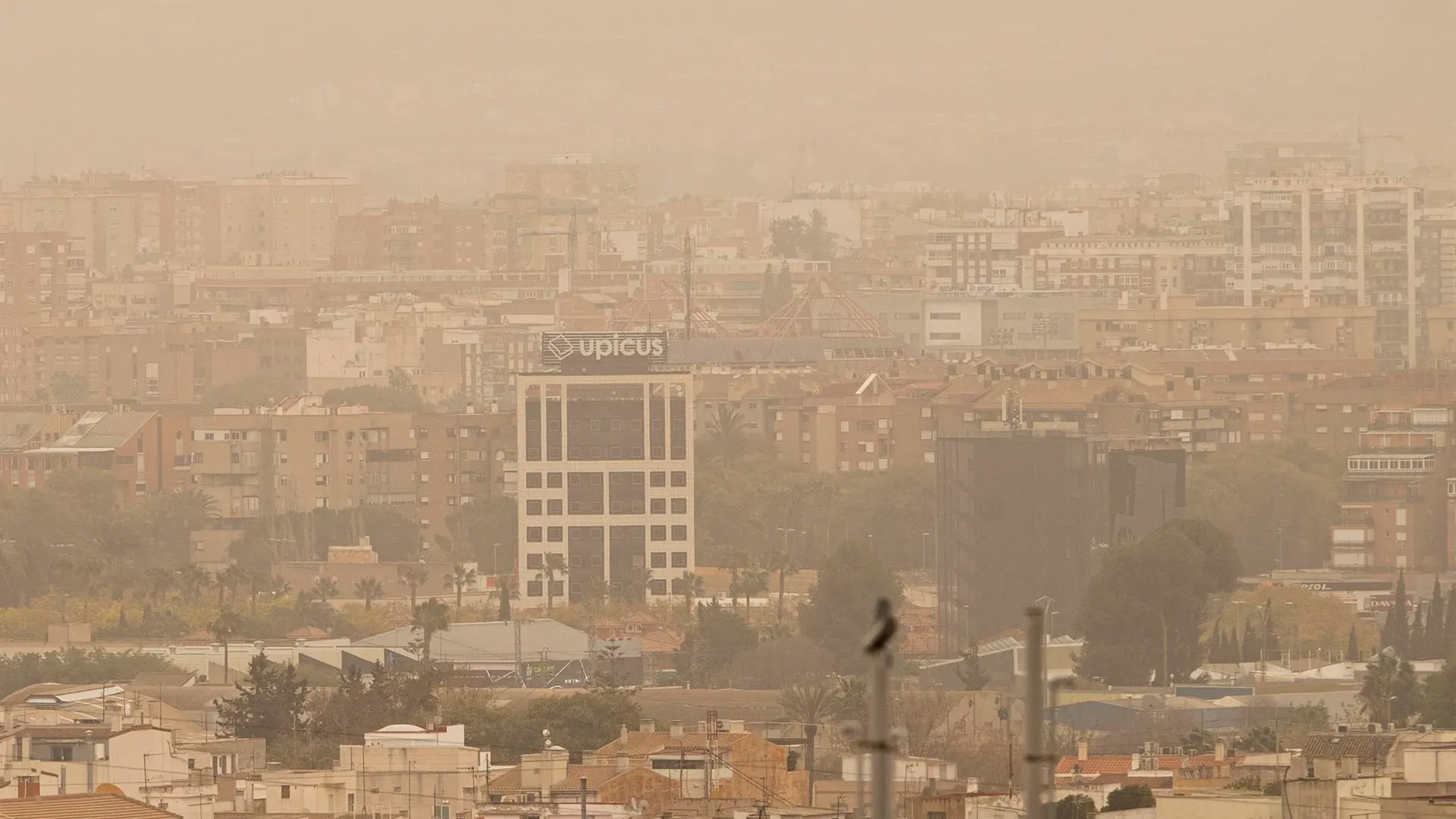 Imagen de la calima en al ciudad de Murcia