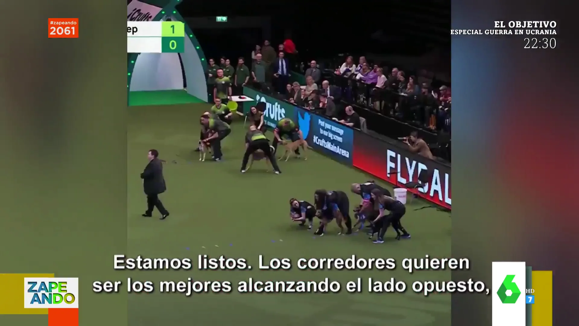 El concurso de perros de Reino Unido que ha flipado a los colaboradores de Zapeando