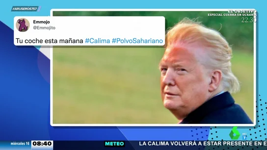 Memes calima Memes calima