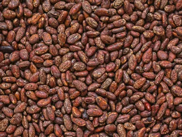 Cacao Cacao