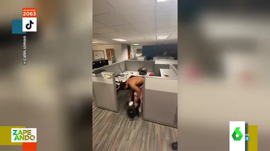 Trabajador se muda a su oficina Trabajador se muda a su oficina