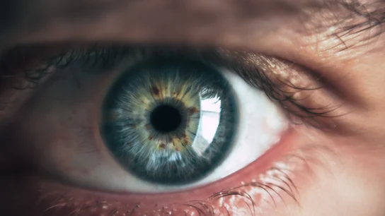¿Qué es la diplopía o visión doble? ¿Qué es la diplopía o visión doble?
