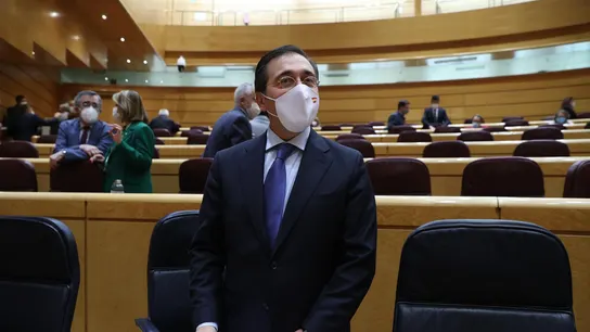 El ministro de Exteriores, José Manuel Albares, durante la sesión de control al Gobierno en el Senado El ministro de Exteriores, José Manuel Albares, durante la sesión de control al Gobierno en el Senado