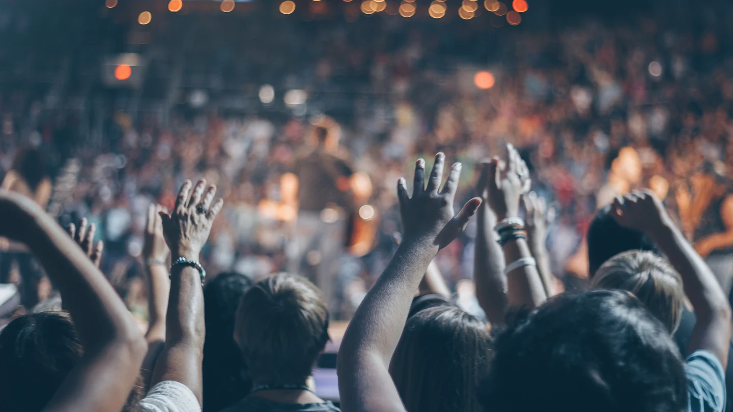 Público en un concierto Público en un concierto