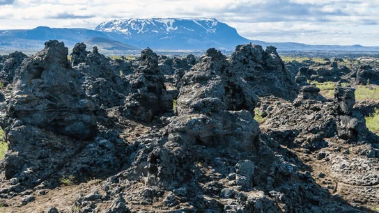 El parque de Dimmuborgir. El parque de Dimmuborgir.