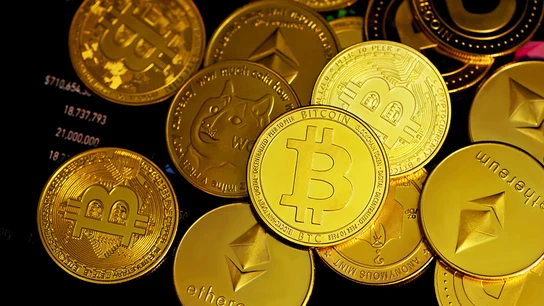 Los Mossos crean un buscador para ayudar a posibles víctimas a detectar estafas con criptomonedas Los Mossos crean un buscador para ayudar a posibles víctimas a detectar estafas con criptomonedas