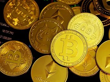 Los Mossos crean un buscador para ayudar a posibles víctimas a detectar estafas con criptomonedas Los Mossos crean un buscador para ayudar a posibles víctimas a detectar estafas con criptomonedas