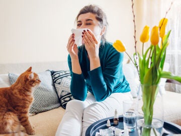 Las alergias pueden hacer que nos planteemos no tener mascotas.