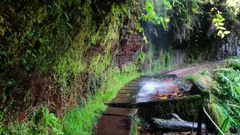 Levada do Rei Levada do Rei