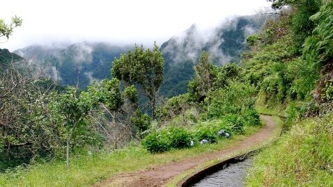 Levada Ribeira da Janela