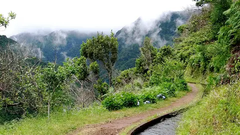 Levada Ribeira da Janela Levada Ribeira da Janela