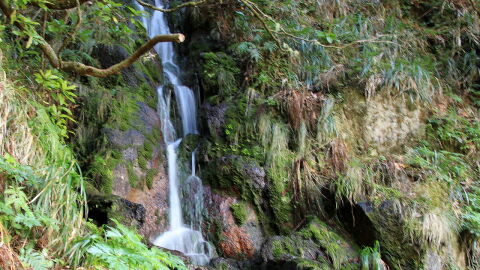 Levada das 25 fontes