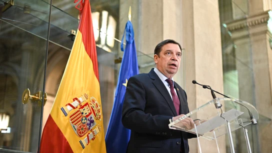 Luis Planas Luis Planas