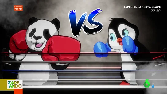 videos animales videos animales