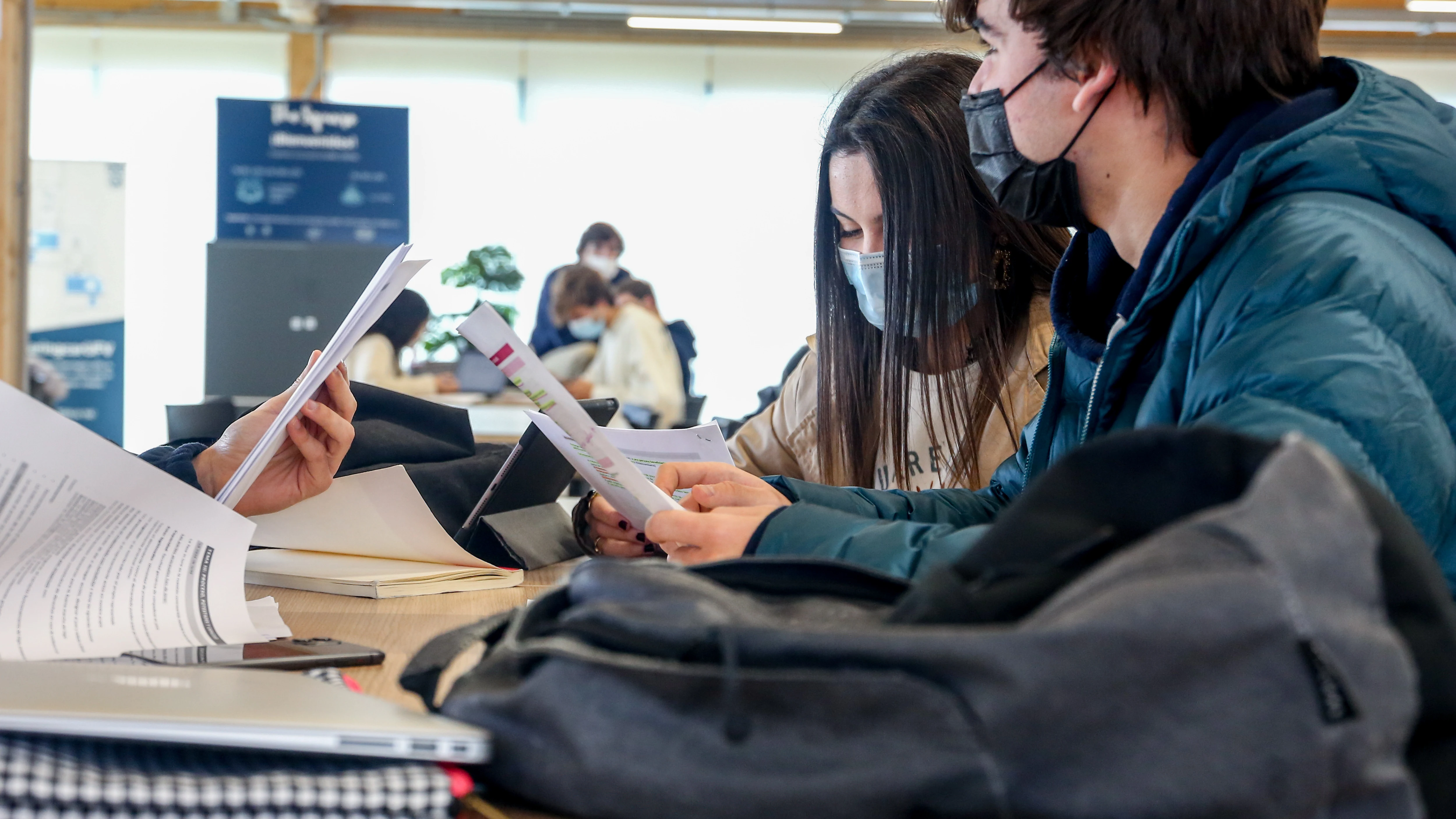 Varios alumnos estudian en la sala de una biblioteca.