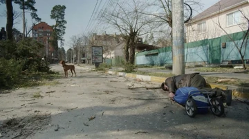 Un perro abandonado en las calles de Irpín, junto al cadáver de un hombre.