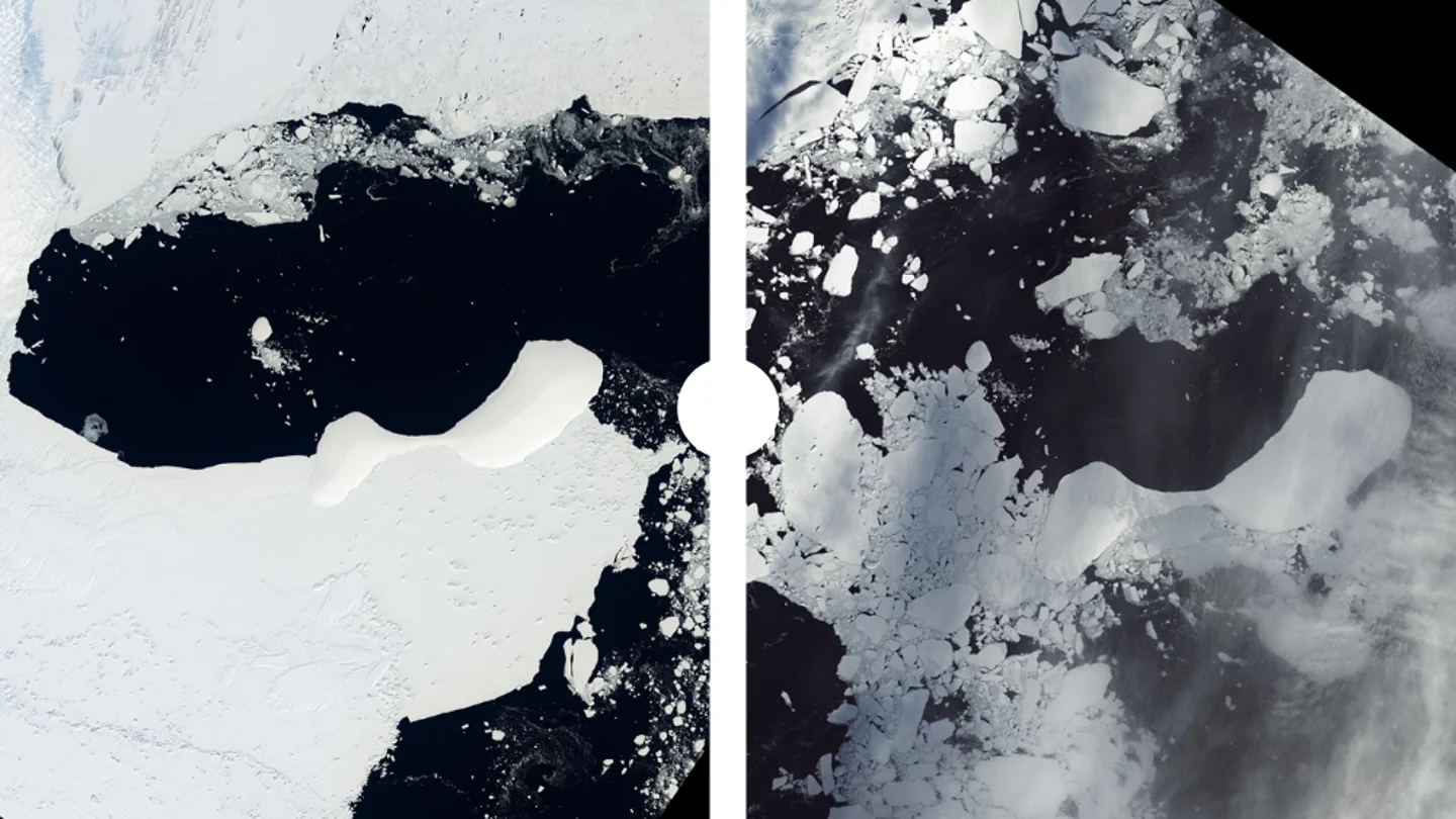 Una plataforma de hielo colapsa en la Antártida por las altas temperaturas, 40 grados centígrados por encima de lo normal Aumento del nivel del mar