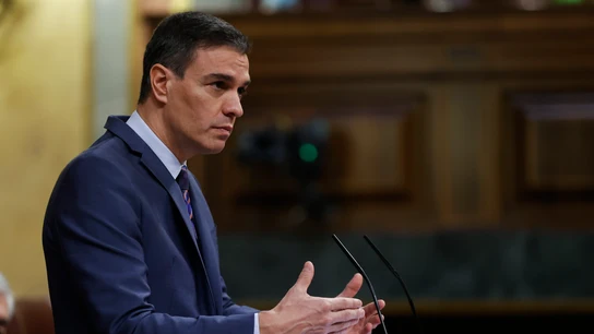 El presidente del Gobierno, Pedro Sánchez, durante su comparecencia este miércoles ante el pleno del Congreso El presidente del Gobierno, Pedro Sánchez, durante su comparecencia este miércoles ante el pleno del Congreso