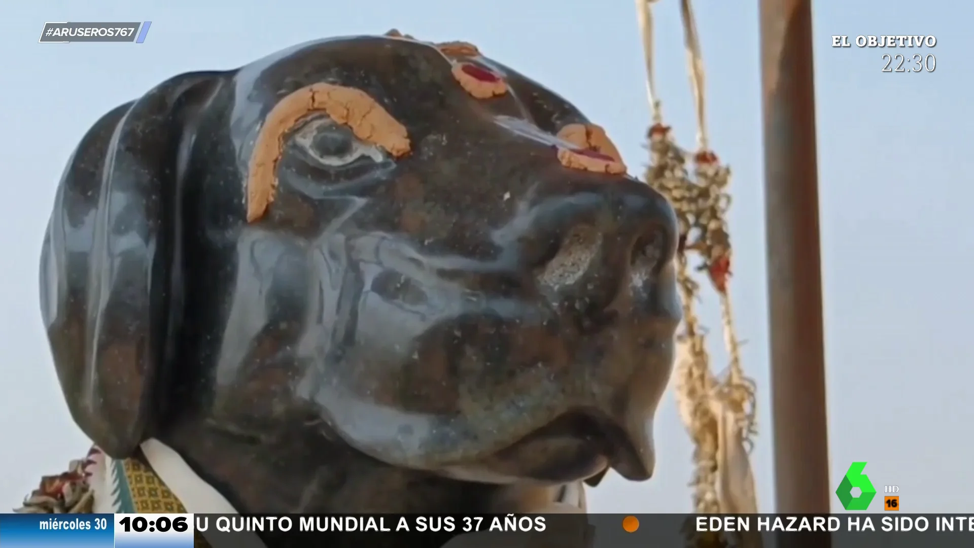 Altar perro