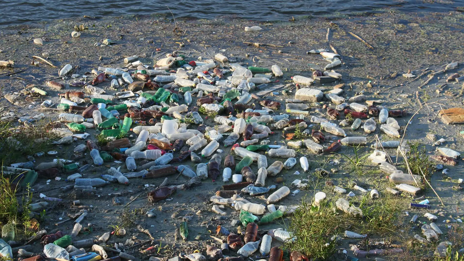 botellas de plástico abandonadas