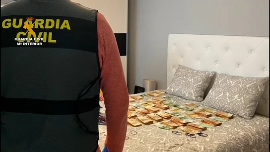 Desmantelan un grupo criminal dedicado a comercializar falso azafrán Desmantelan un grupo criminal dedicado a comercializar falso azafrán