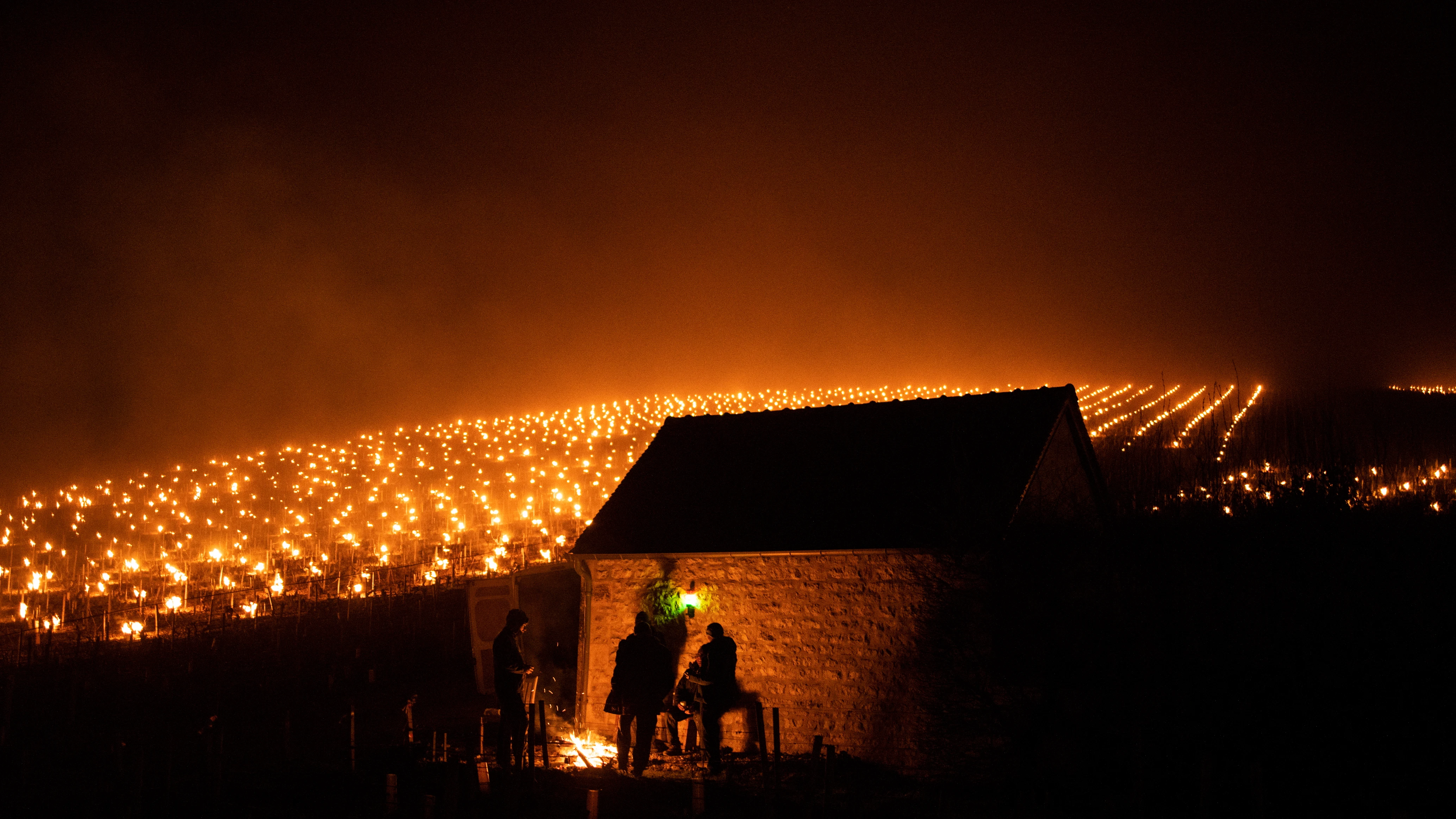 Los viticultores del municipio Chablis, en Francia, encendieron pequeños fuegos en sus viñedos en un intento de salvarlos de las heladas