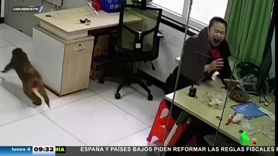 Robo mono comida Robo mono comida