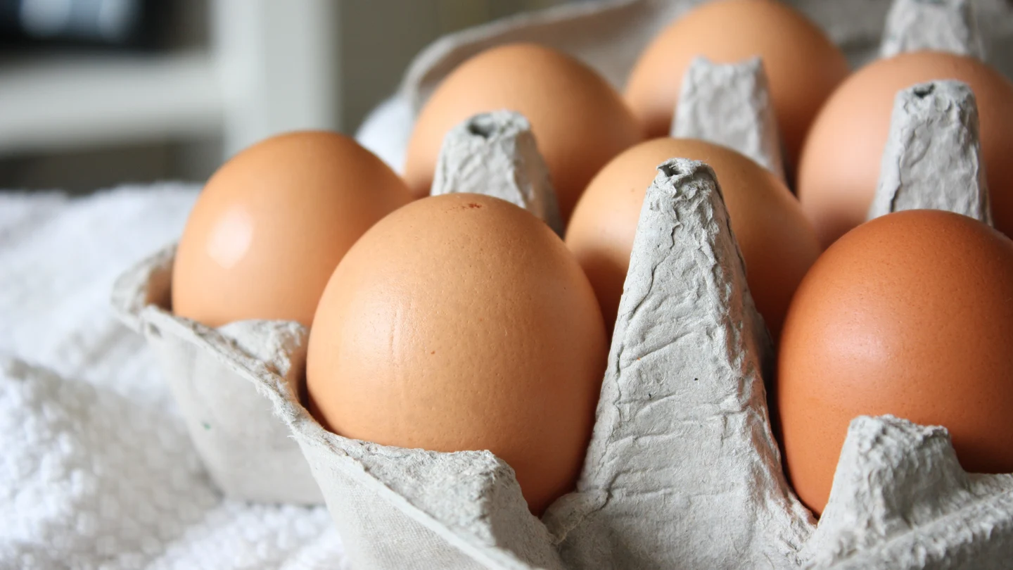 Estas son todas las fuentes de proteínas que puedes incluir en tu dieta y la cantidad que necesitas tomar a diario Estas son todas las fuentes de proteínas que puedes incluir en tu dieta y la cantidad que necesitas tomar a diario