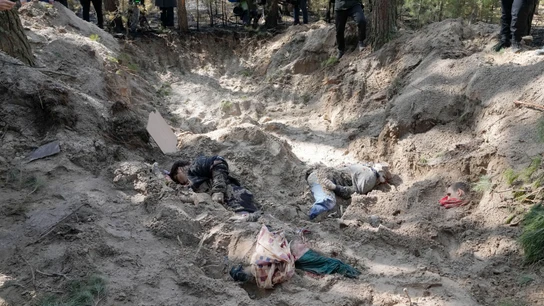 Los cadáveres de la alcaldesa de Motyzhyn y su familia han aparecido en una fosa común en un bosque. Los cadáveres de la alcaldesa de Motyzhyn y su familia han aparecido en una fosa común en un bosque.