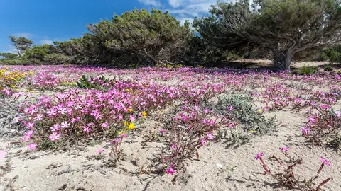 Formentera Formentera