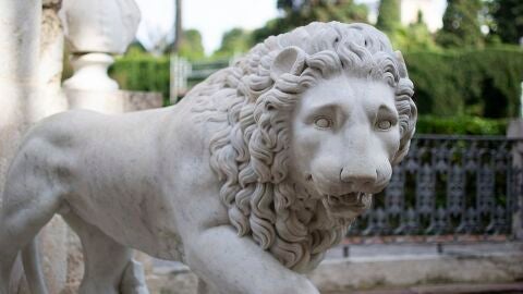 León