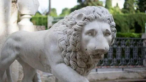 León León