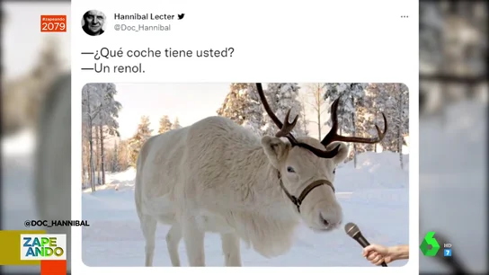 chistes animales chistes animales