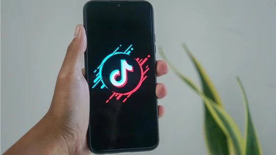 TikTok Logo deTikTok