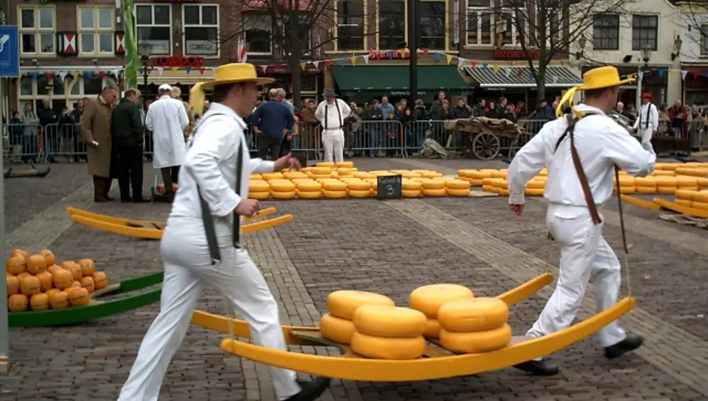 Mercado del queso. Alkmaar