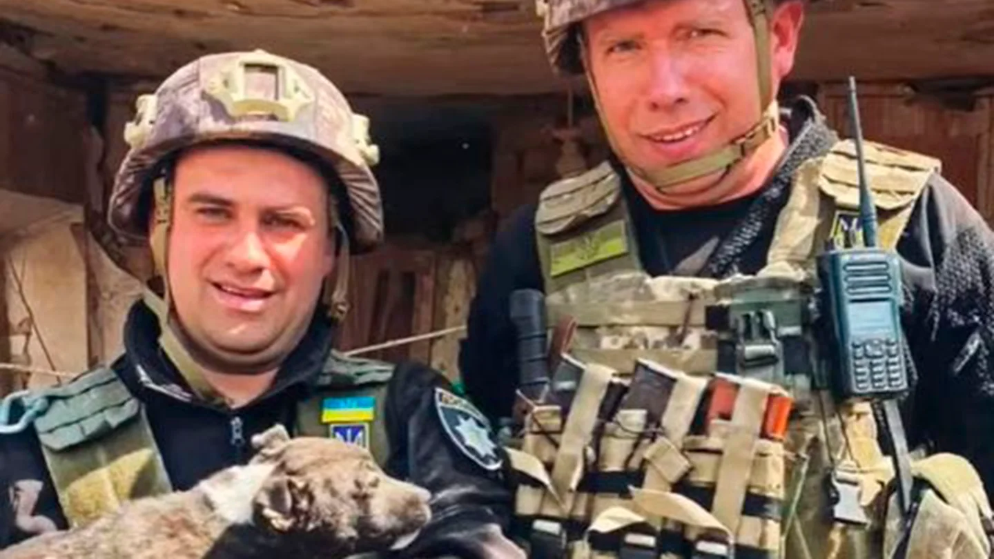 La policía de Donetsk rescata con vida a un perro sepultado bajo los escombros de un edificio La policía de Donetsk rescata con vida a un perro sepultado bajo los escombros de un edificio