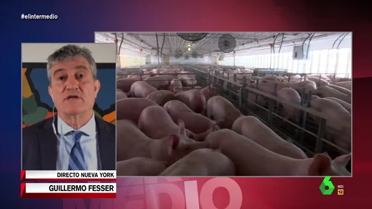 fesser fesser