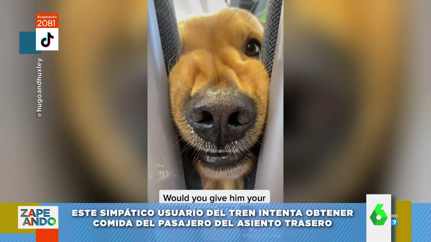 Los trucos 'cuquis' de un Golden Retriever para conseguir una patata frita en un tren Los trucos 'cuquis' de un Golden Retriever para conseguir una patata frita en un tren