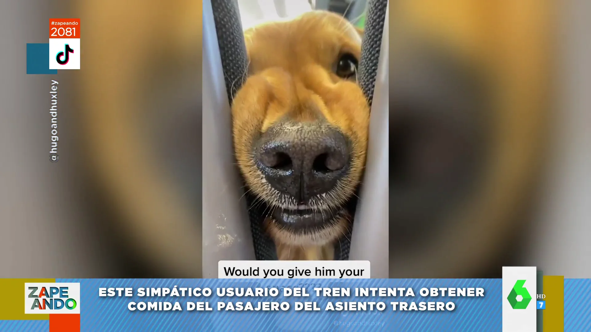 Los trucos 'cuquis' de un Golden Retriever para conseguir una patata frita en un tren