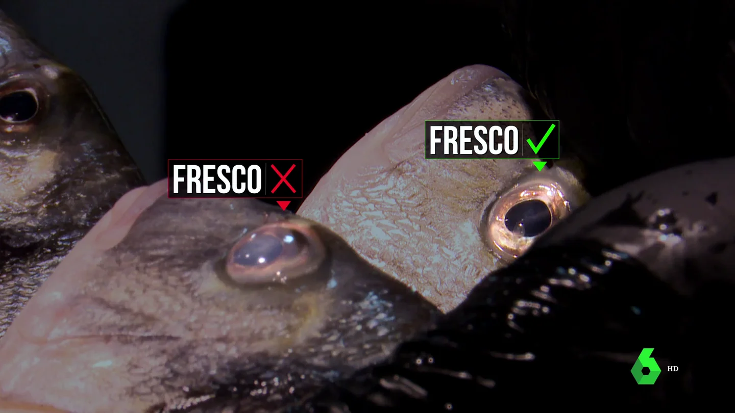 Pescado fresco Pescado fresco