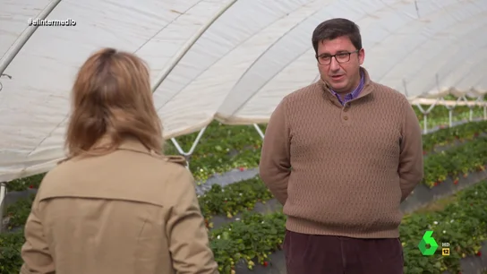El portavoz de la Asociación de Agricultores de Doñana, contundente contra de la nueva medida de Moreno Bonilla: "Así nos vamos a la ruina" El portavoz de la Asociación de Agricultores de Doñana, contundente contra de la nueva medida de Moreno Bonilla: "Así nos vamos a la ruina"