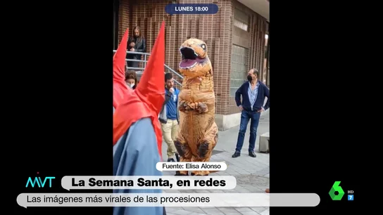 virales ss virales ss