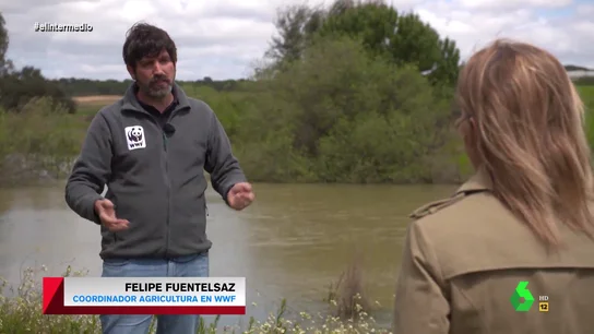La ONG WWF advierte del peligro que corre Doñana: "No puede soportar más presión" La ONG WWF advierte del peligro que corre Doñana: "No puede soportar más presión"