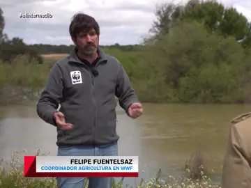 La ONG WWF advierte del peligro que corre Doñana: &quot;No puede soportar más presión&quot;