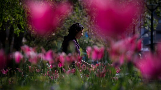 Una primavera loca con vaivenes en el Cant&aacute;brico y una calima desde el S&aacute;hara en el sudeste