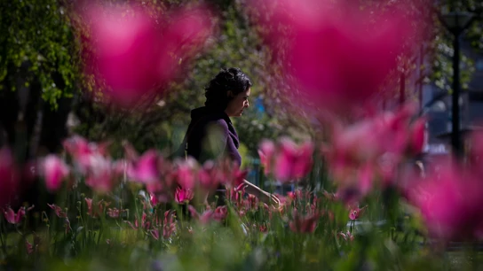 Una primavera loca con vaivenes en el Cantábrico y una calima desde el Sáhara en el sudeste Una primavera loca con vaivenes en el Cantábrico y una calima desde el Sáhara en el sudeste