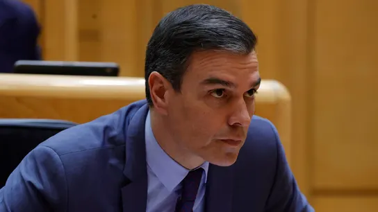 El presidente del Gobierno, Pedro Sánchez, durante la sesión de control del Senado. El presidente del Gobierno, Pedro Sánchez, durante la sesión de control del Senado.