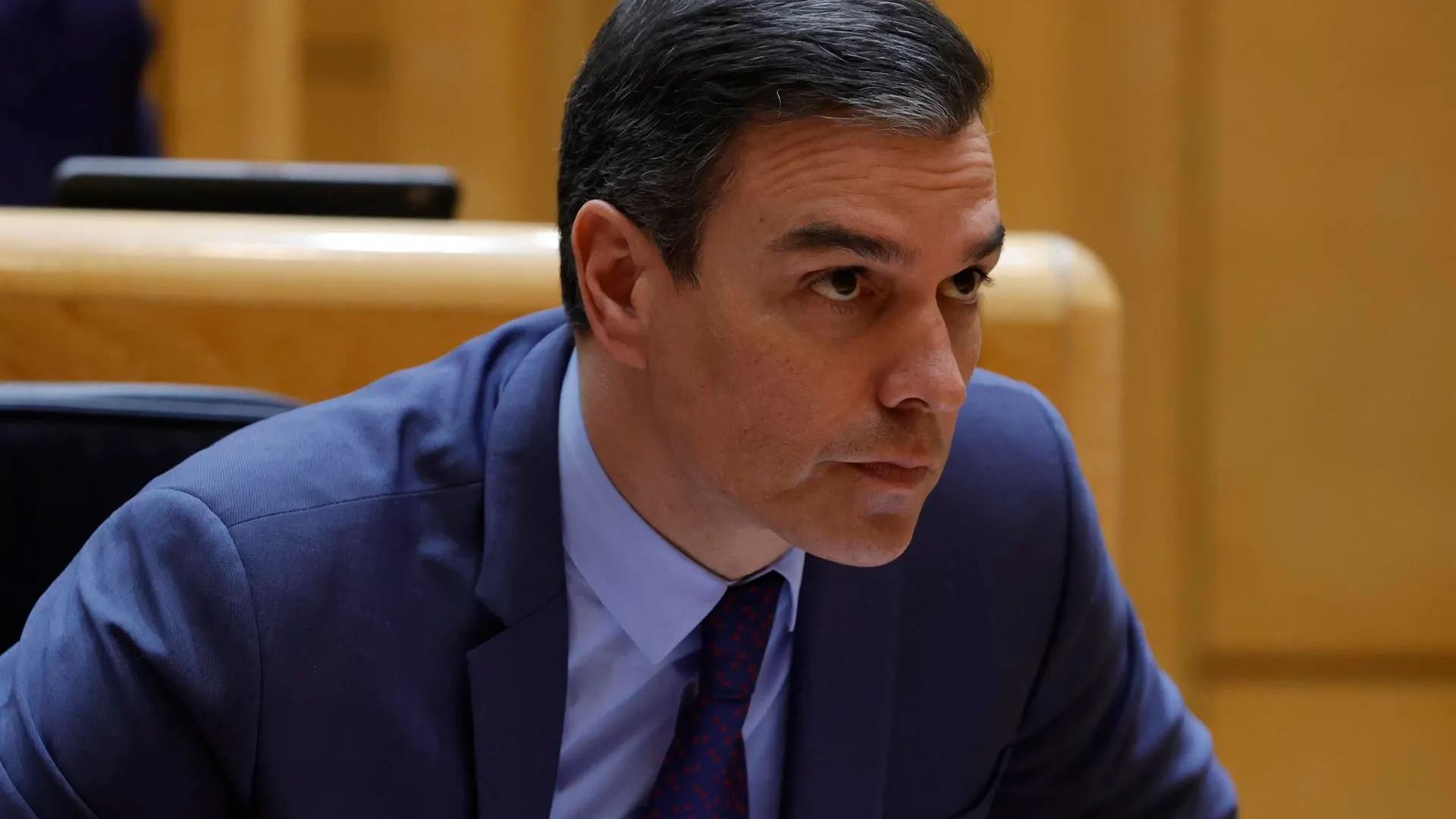 El presidente del Gobierno, Pedro Sánchez, durante la sesión de control del Senado.