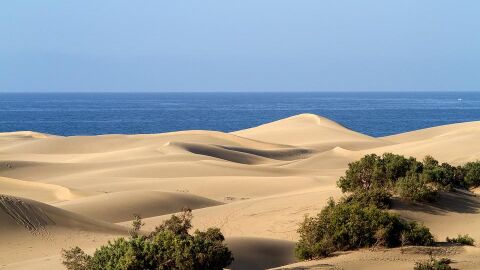Gran Canaria