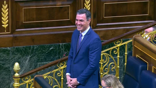 El "lapsus imperdonable" de Sánchez con Rufián al llamarle "señor Abascal" El "lapsus imperdonable" de Sánchez con Rufián al llamarle "señor Abascal"